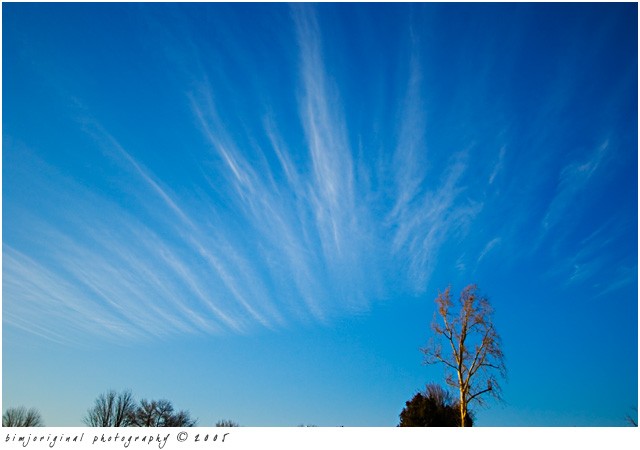 wispy04.jpg