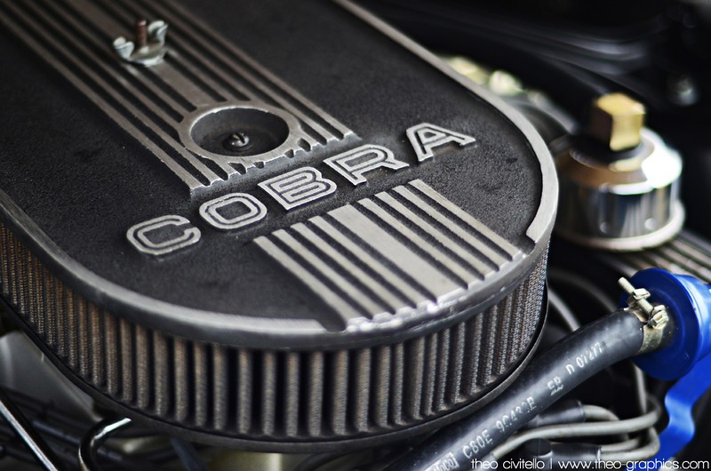 GT-500-Vert-Cobra-Engine-Macro-L.jpg