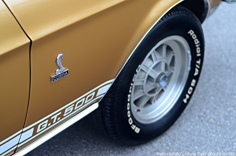 GT500-Vert-Cobra-Emblem-L.jpg