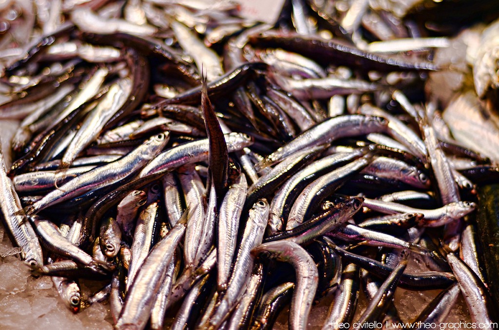 La-Boqueria-Anchovies-XL.jpg