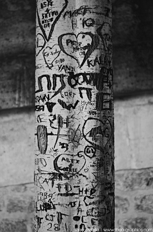 Tree-Graffiti-XL.jpg