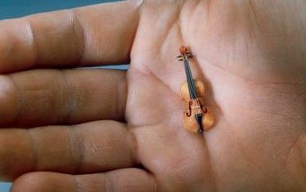 smallest-violin.jpg