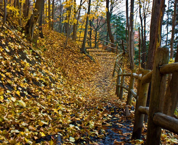 Autumn_Path_2_by_sideways_8.jpg