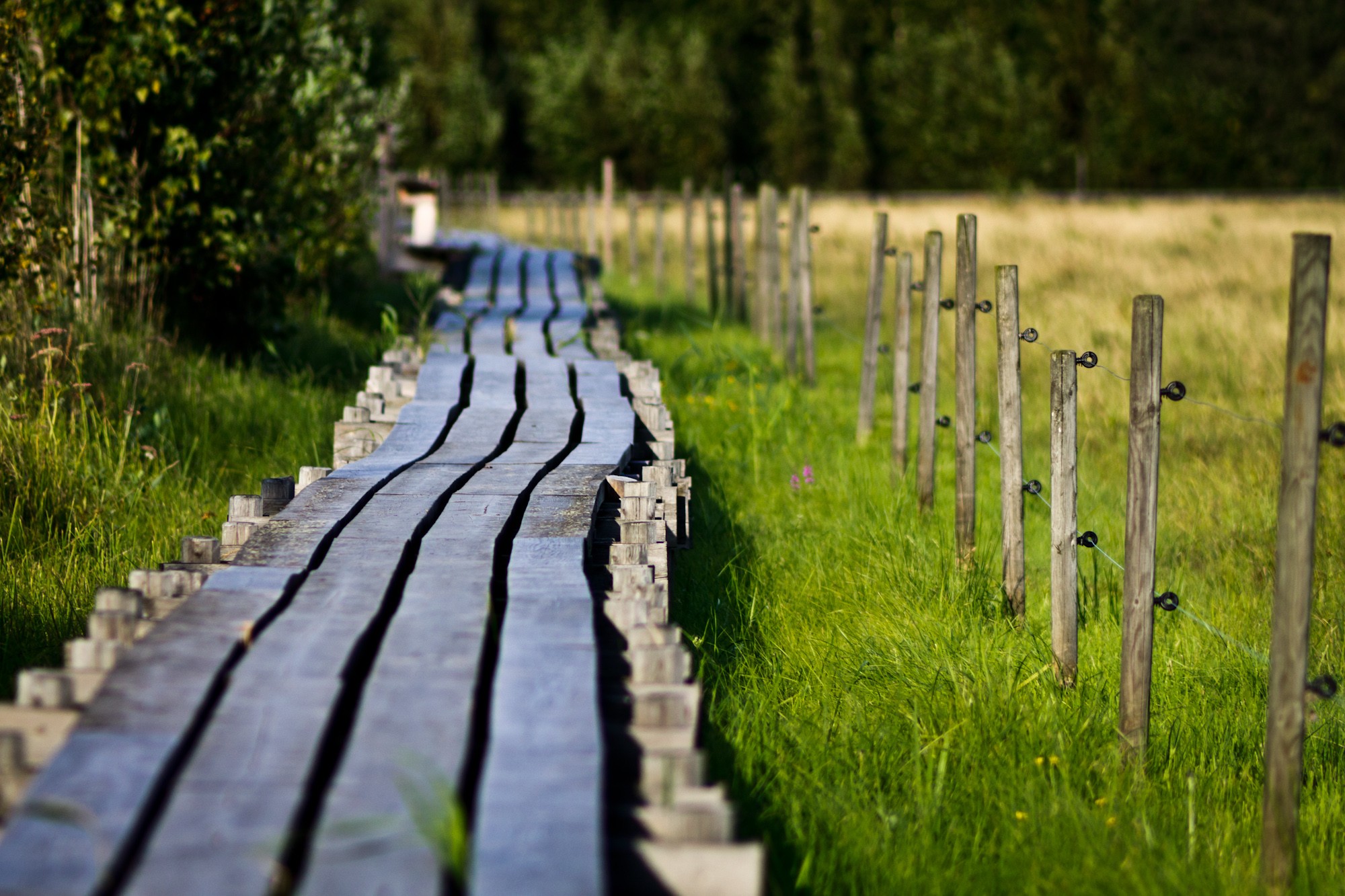 boardwalk__going_where__by_pianoblack97-d484jk2.jpg