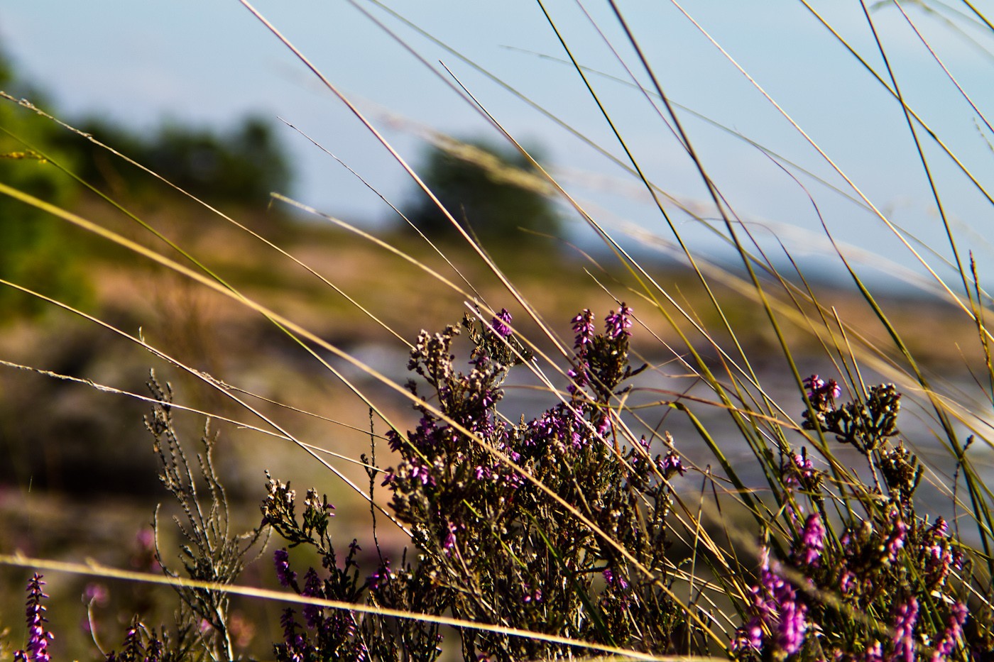 karlstad_at_the_beach_by_pianoblack97-d47e49j.jpg