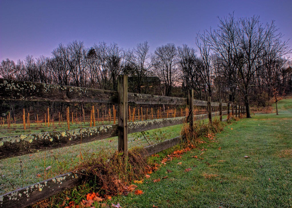 Fenceline_HDR_by_sideways_8.jpg