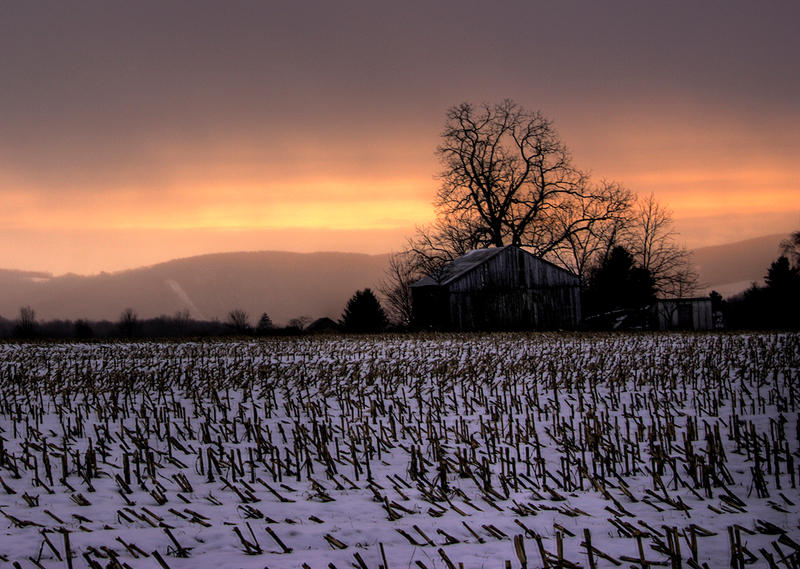 Snowy_Barn_HDR_by_sideways_8.jpg