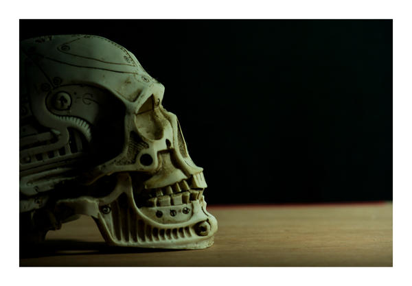 Skull_Profile_color_by_Fullmoonphotography.jpg