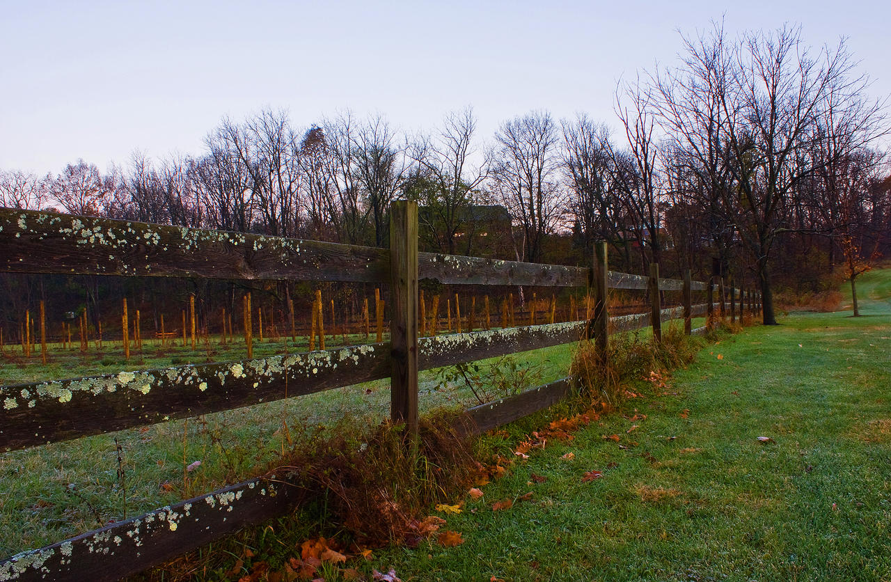 Treman_State_Park_Fenceline_by_sideways_8.jpg