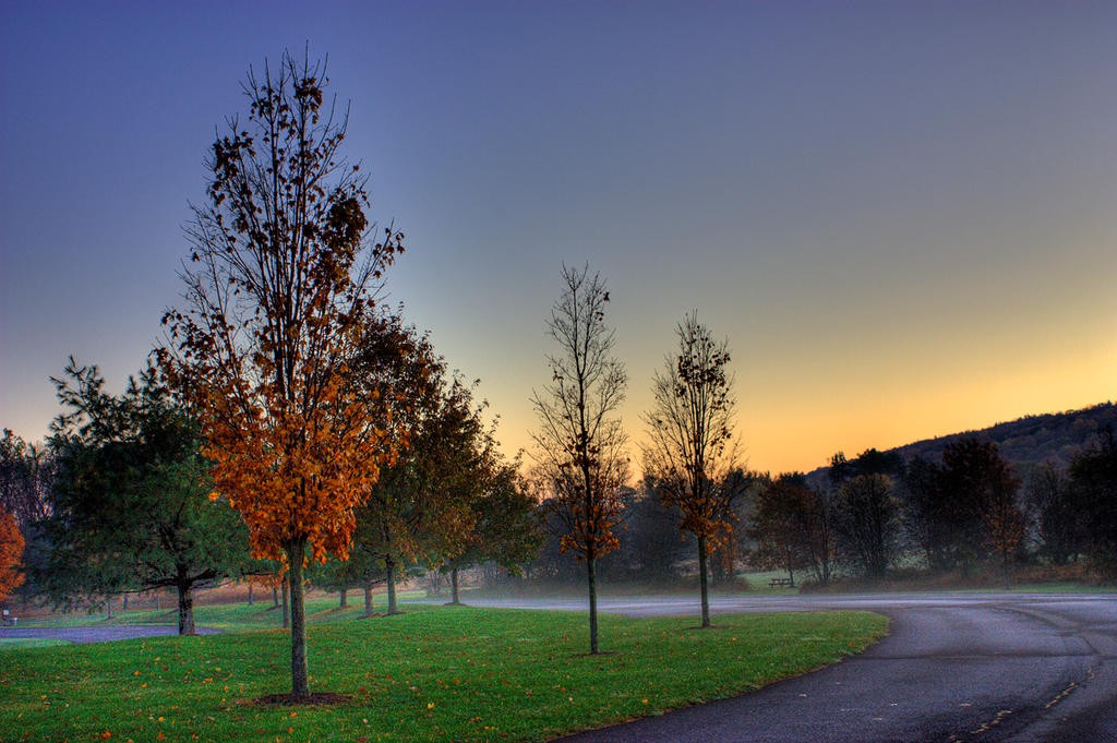 Treeline_HDR_by_sideways_8.jpg