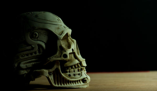 Skull_Profile_Color_2_by_Fullmoonphotography.jpg