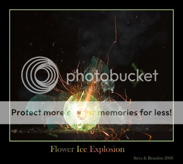 Flower-ice-explosion-8786.jpg