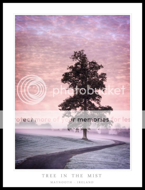 tree-in-the-mist-vignette.jpg