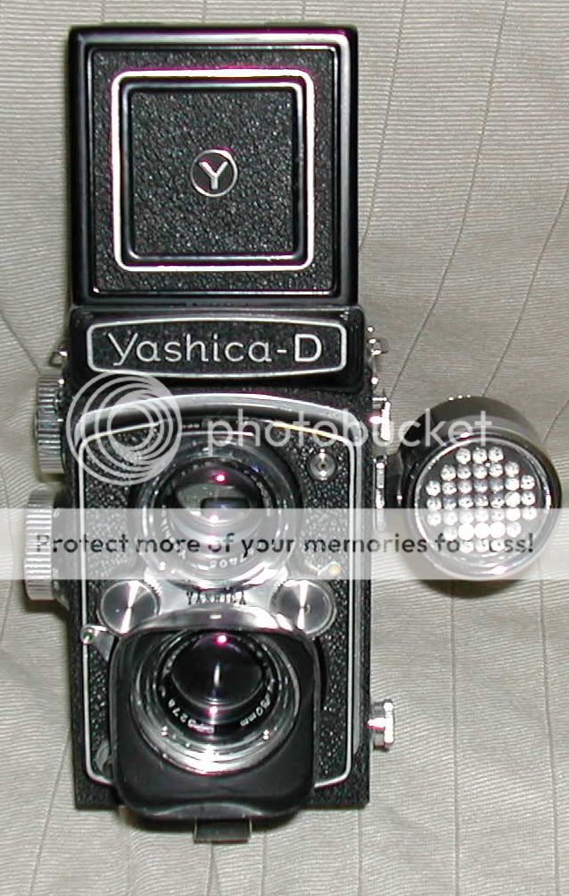 YashicaD.jpg