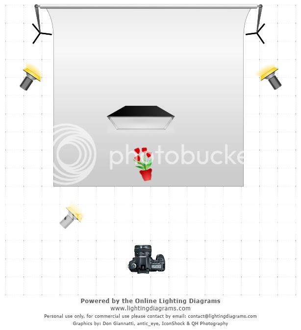 lighting-diagram-1326927580.jpg