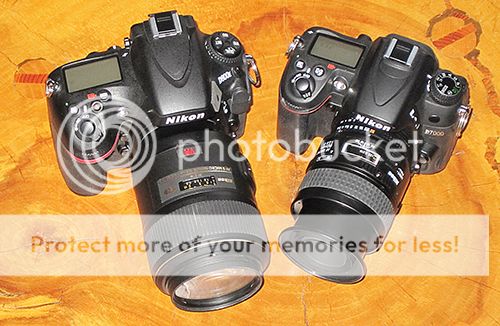 Cameras_zps1de158c4.jpg