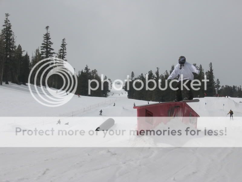 snowboardingv2008.jpg