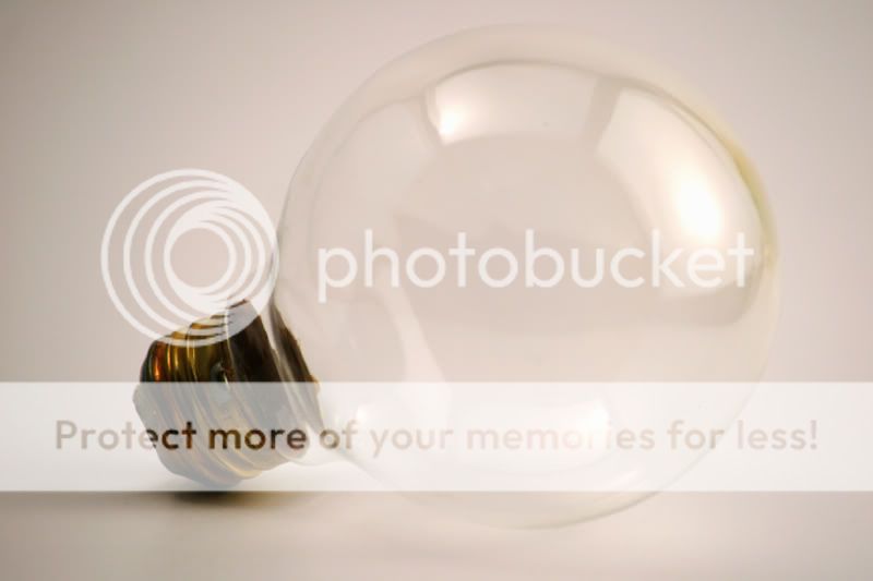 Bulb2.jpg