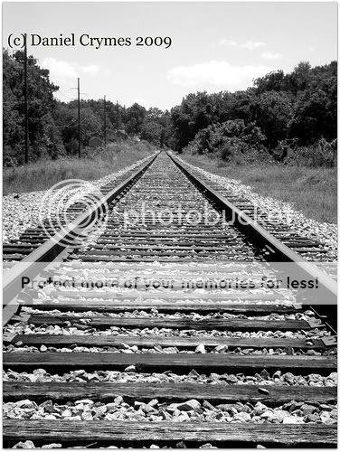 bwtraintracks2.jpg