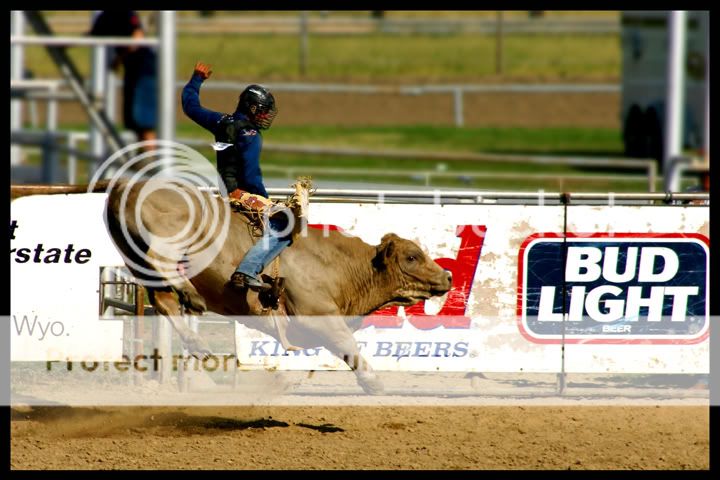 BullRiding8.jpg