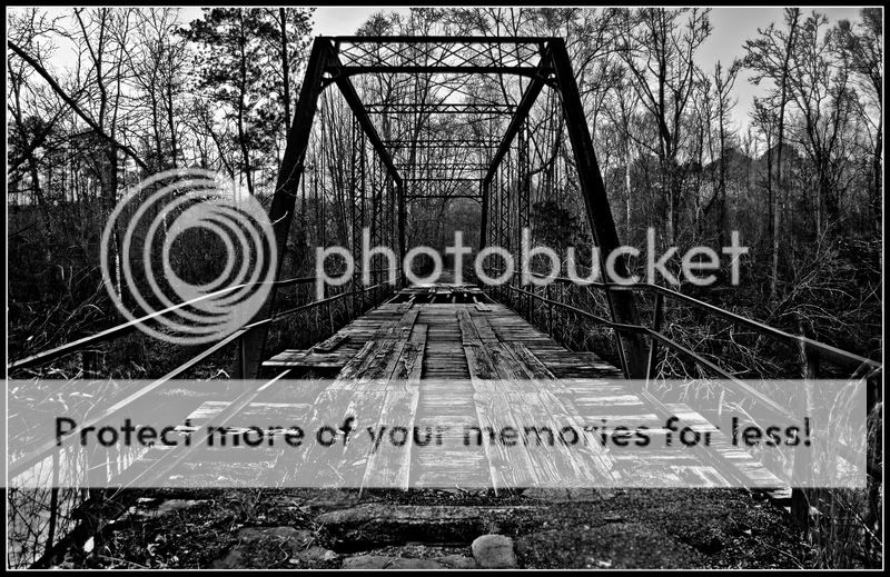 Bridge-1BW.jpg