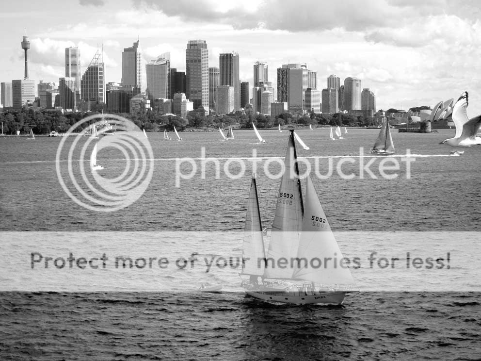 Sydney-Boat.jpg