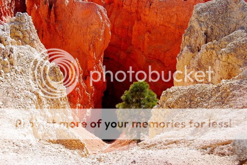 BryceCanyon.jpg