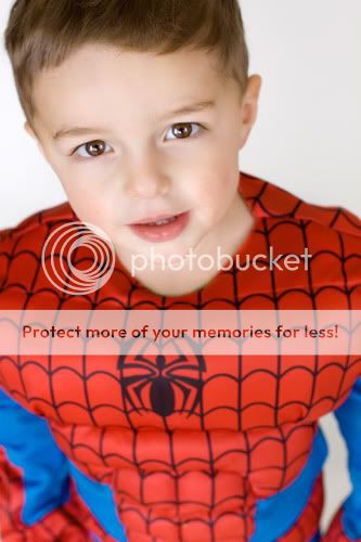 webspiderman2.jpg