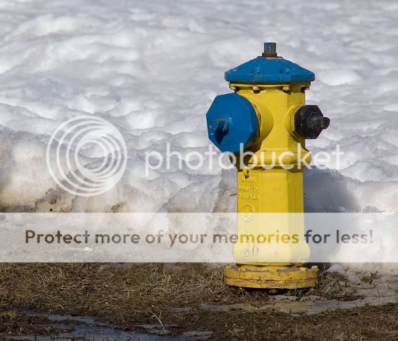 hydrant.jpg