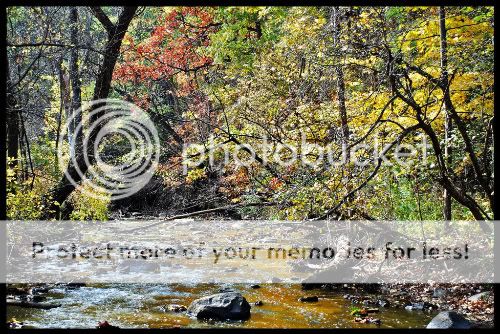 creek-HDR-1.jpg