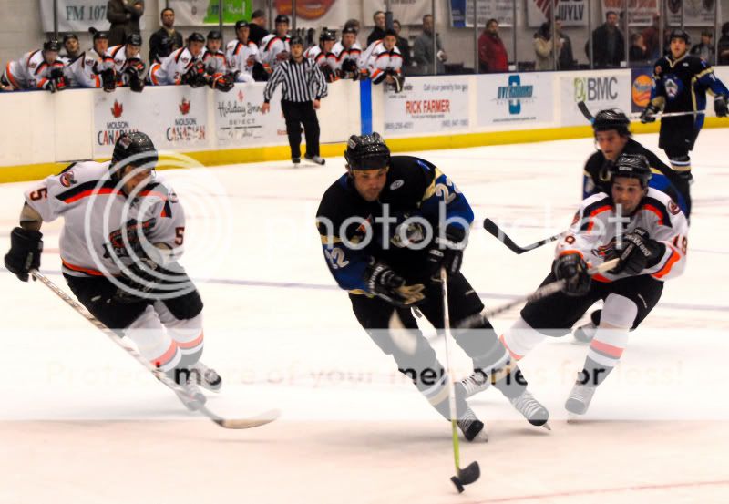 IceBears2100001.jpg