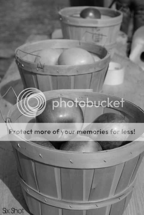 buckets-1.jpg