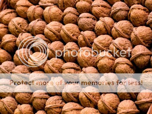 BCN_walnuts.jpg