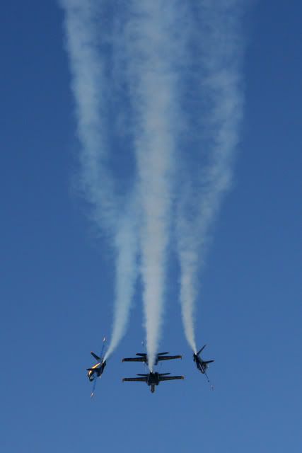 blueangels2.jpg