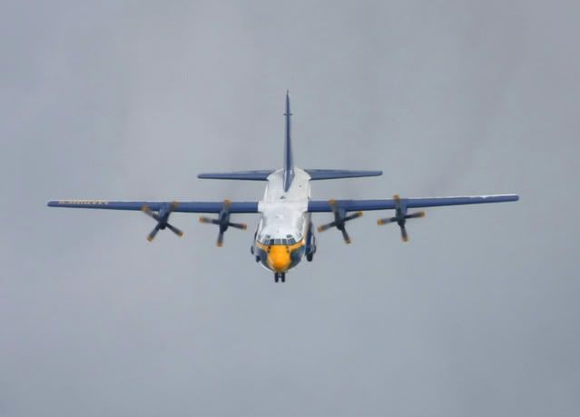 fatalbert1.jpg