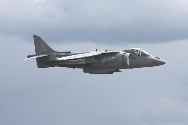 harrier3.jpg