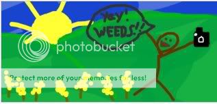 yayweeds.jpg