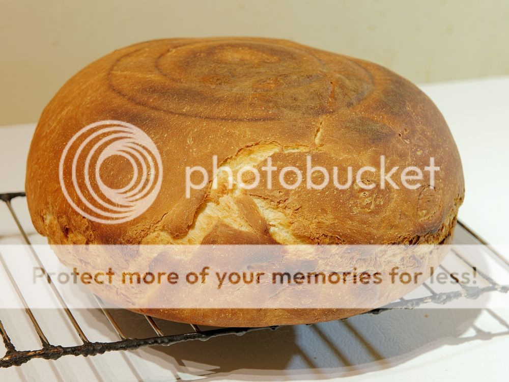 Honeybread_zpsf3567632.jpg