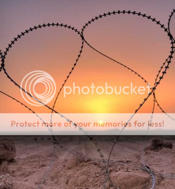 Barbedwire.jpg