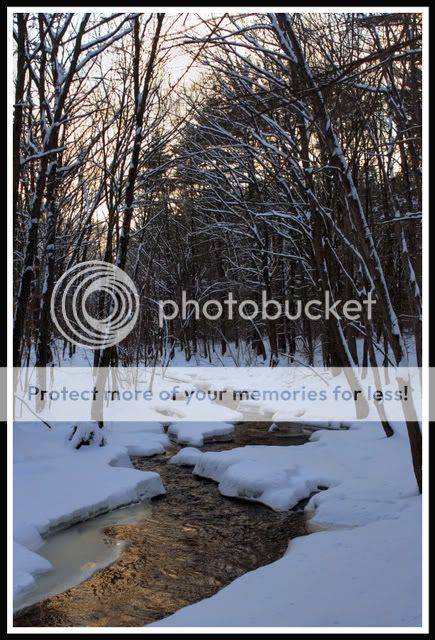 Winter_River1.jpg