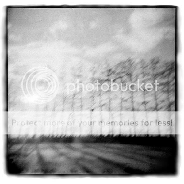 field-holga.jpg