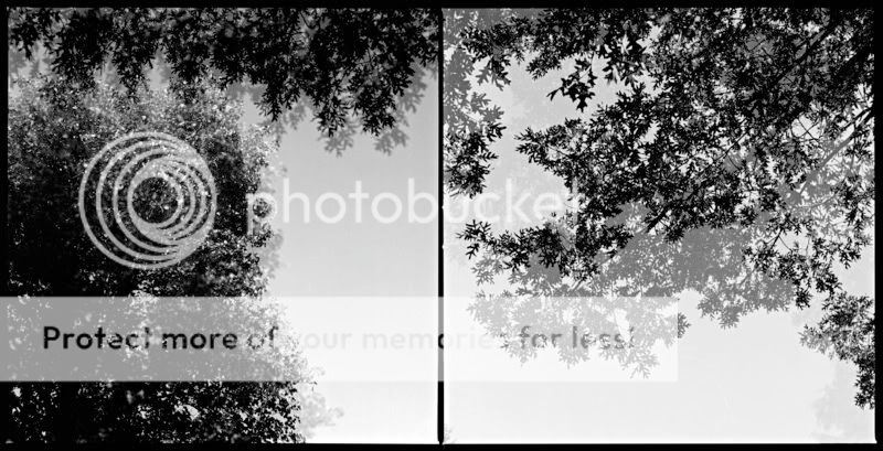 twovisions-diptych.jpg