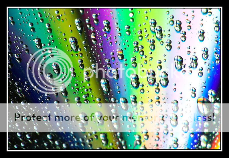 CD-droplet-colours_05.jpg