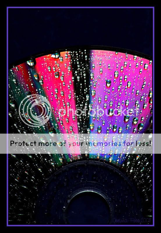 CD-droplet-colours_06.jpg