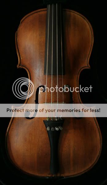 violin1552.jpg