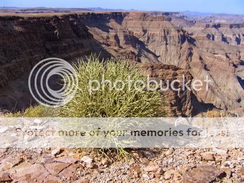 A_Chr_Namibia_05-10-05_2.jpg