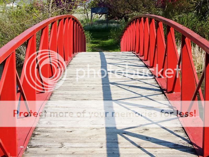 footbridge3.jpg