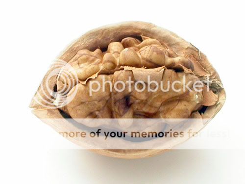 macrophotography-walnut.jpg