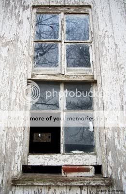 ReflectionsinandOldWindow595x911-1.jpg