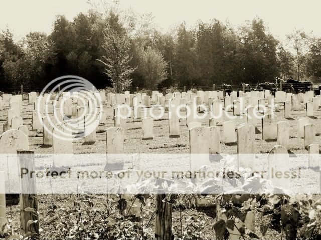 Mennonitegraveyard-2.jpg